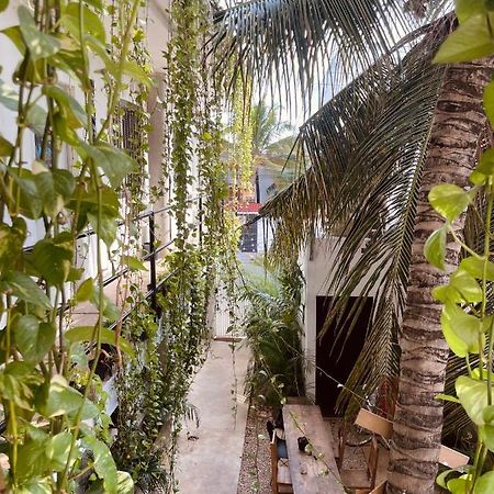 Anana Coliving Hotel Плая дел Кармен Екстериор снимка