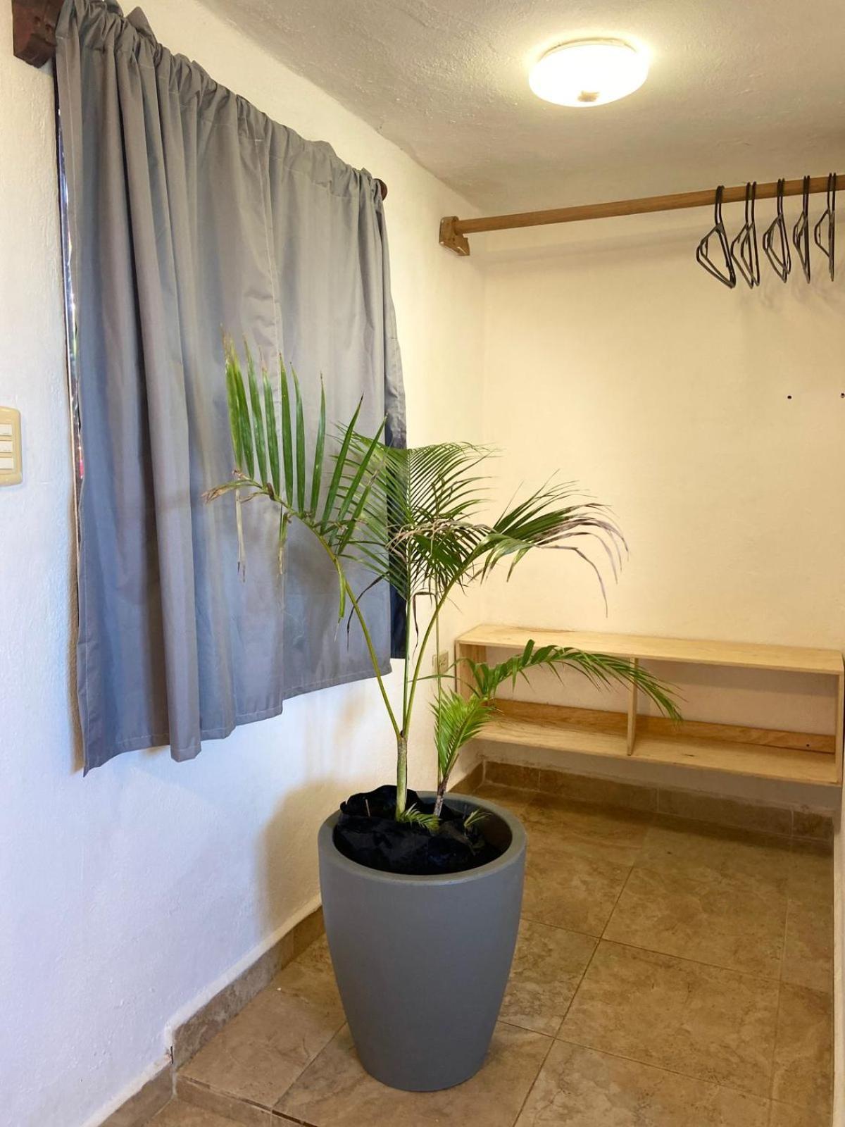 Anana Coliving Hotel Плая дел Кармен Екстериор снимка