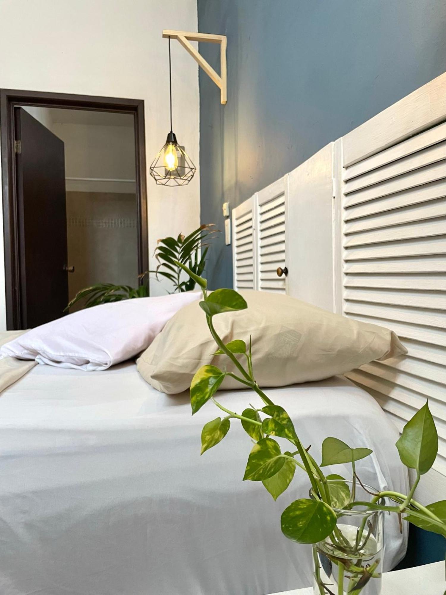 Anana Coliving Hotel Плая дел Кармен Екстериор снимка